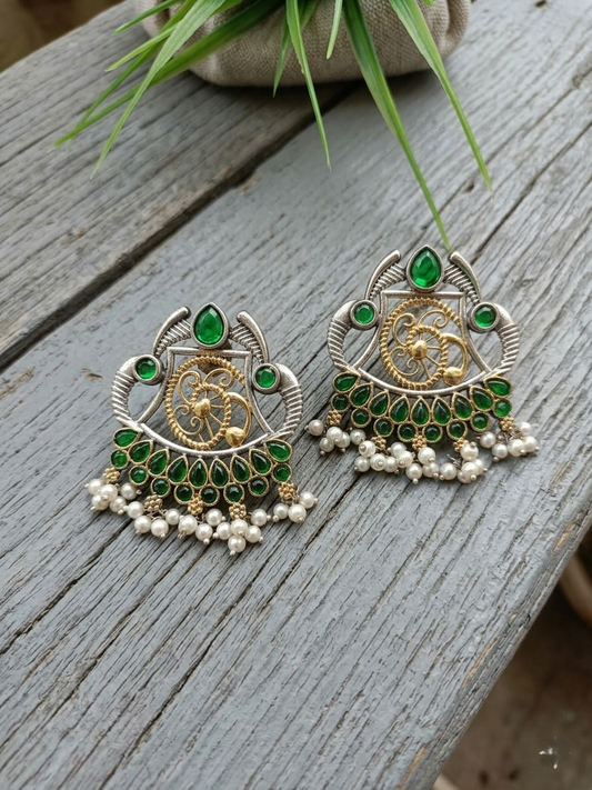 Truma Dual Tone Earrings